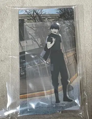 괴수 8호 교토 마후 한정판 아크릴 스탠드 아크스타 호시나