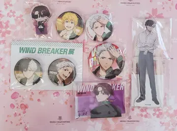 윈브레 소방 매궁 벚꽃 뉴이