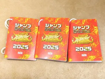 점프 빅토리 카니발 2025 빅토리 여권 점프 페스타