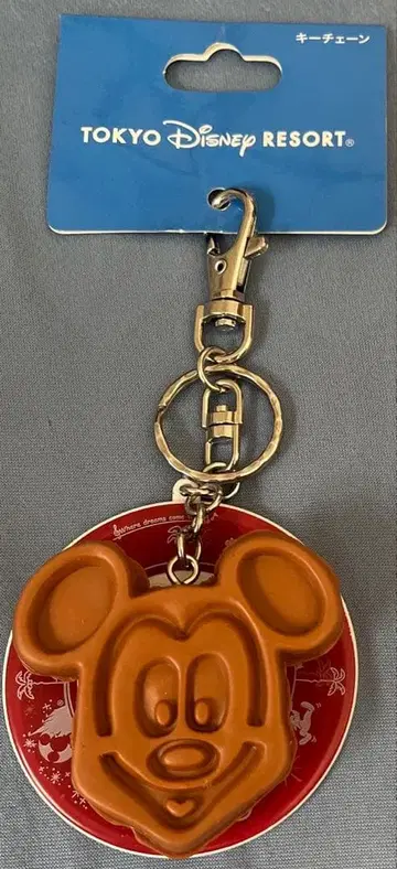 도쿄 디즈니 리조트 키링 세트