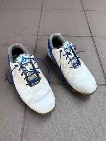 FJ DNA 2.0 골프화 화이트/블루