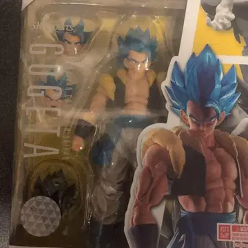 S.H. 피규아트 오지터