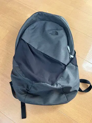 THE NORTH FACE 그레이