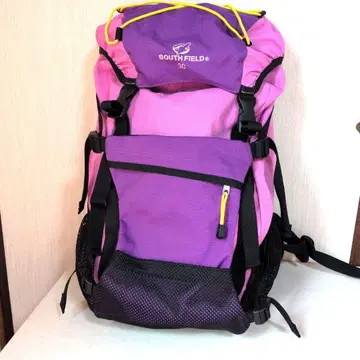 SOUTH FIELD 30 백팩 핑크 보라색 새상품급