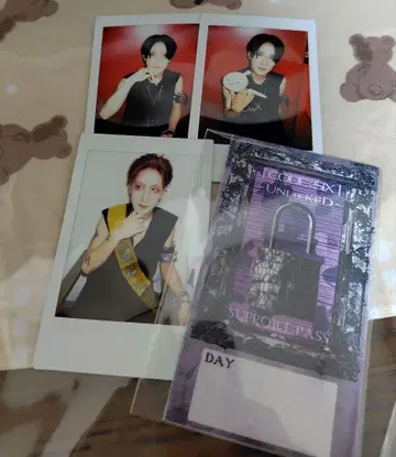 vistlip Yuh 폴라로이드, 서포트 패스 세트