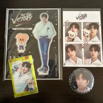 straykids the victory 승민