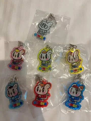 제이 고양이 키링 세트