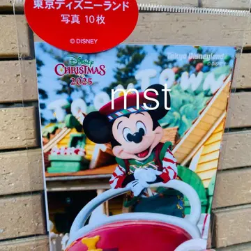 디즈니랜드 크리스마스 2025 사진 미키 미니 플루토 실사