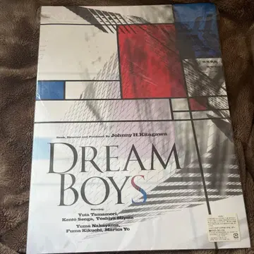 DREAM BOYS 팜플렛