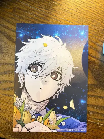 블루 록 풀컬러 TSUTAYA 나기 세이시로 엽서 특전