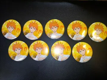 하이큐 히나타 쇼요 캔뱃지 가을 페어 9개 세트