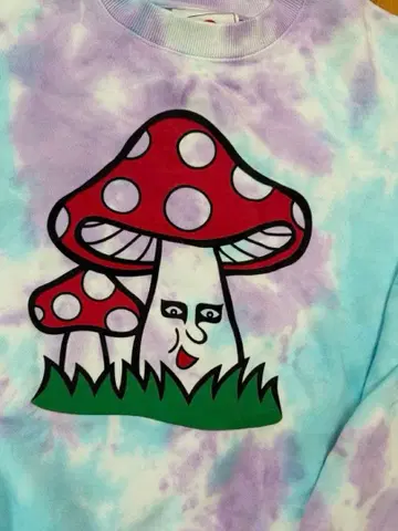 PUNK DRUNKETS 맨투맨 XL