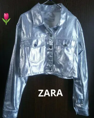 ZARA 실버 크롭 숏 기장 G 재킷 US S 사이즈