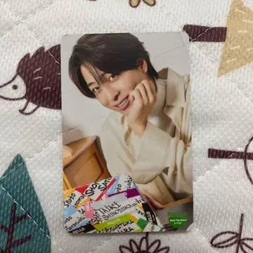 timelesz 테라니시 타쿠토 키쿠치 후마 카드