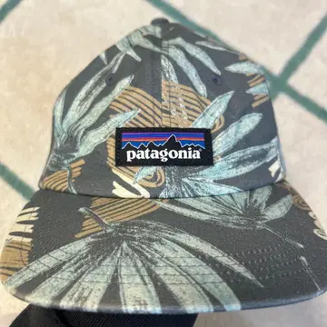 patagonia 잎 패턴 캡 그레이/베이지