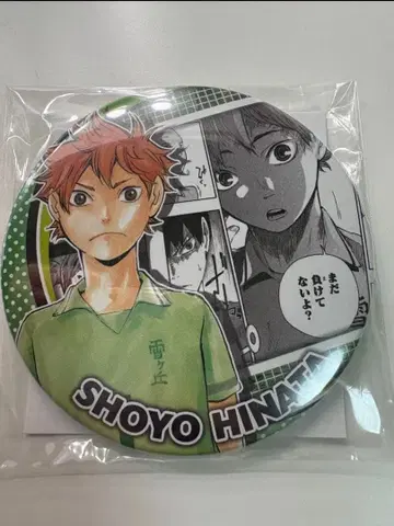 하이큐 히나타 쇼요 HEROES 컬렉션 캔뱃지