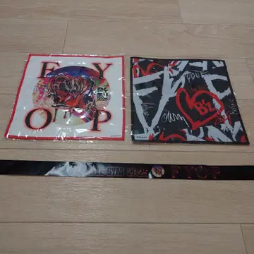 B'z FYOP 파이버 타월 2종 세트