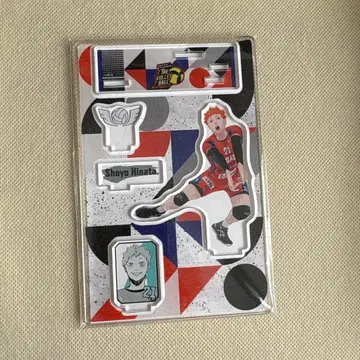 하이큐 V리그 디오라마 피규어 히나타 쇼요