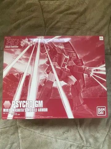 HGBF 1/144 사이코 짐