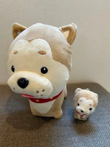 아키타견 봉제 인형 23cm 키링 스트랩 방울 포함 세트 기념품