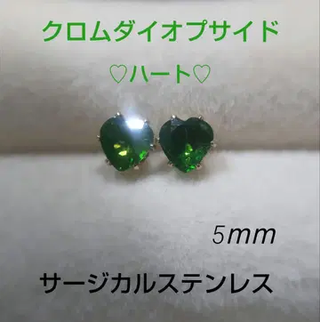 크롬 다이옵사이드 빅 5mm! 스터드 귀걸이 써지컬 스테인리스 xa