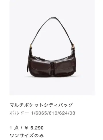 ZARA 멀티 포켓 시티 백 보르도