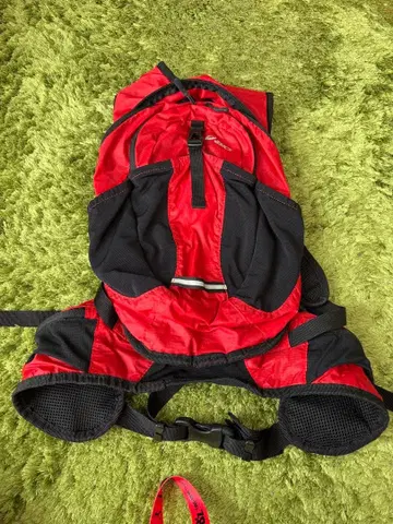 아식스 랭킹 자크