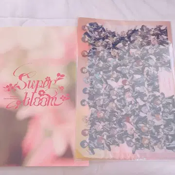 스타포니 팜플렛