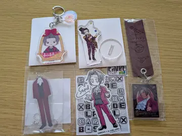 역전재판 미츠루기 레이지 5세트