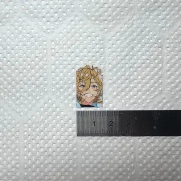 이타네일 플레이 시트