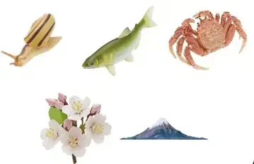 일본의 생물 가챠 5세트