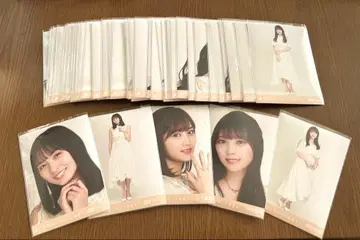 노기자카46 행복의 보호색 묶음 판매 49장