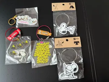 SNOOPY town shop 스누피 뮤지엄 아크릴 키링