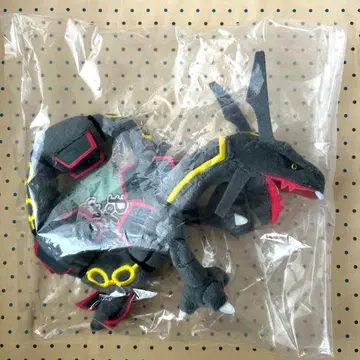 포켓몬 fit 색이 다른 레쿠자