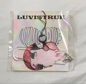 luvistrue SHUGO CHARA! CARABINAR