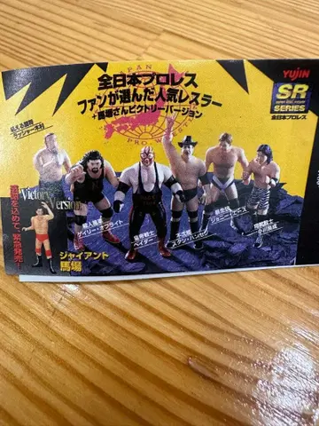 SR 전일본 프로레슬링 팬이 선택한 인기 레슬러 빅토리 Ver