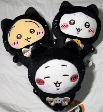 치이카와 검은 고양이 3종류 풀 컴프 세트