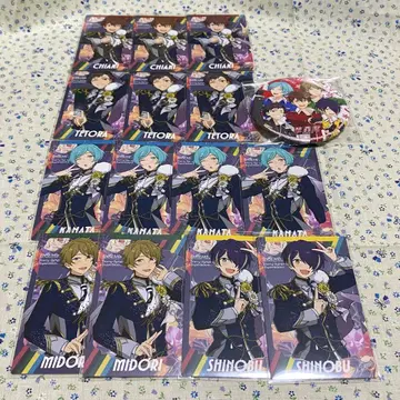 스타포니 카드 컬렉션 유성대