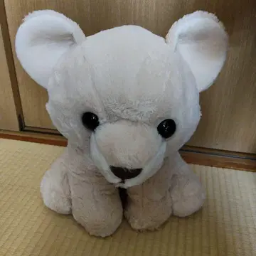 크림색 곰 봉제 인형 미사용