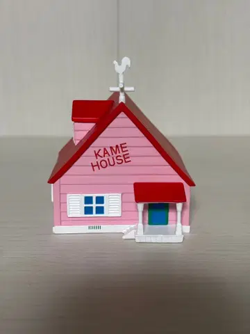 아이템 컬렉션 카메 하우스