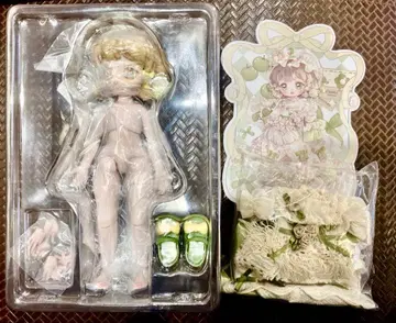 루시안 부서진 별의 궤적 Kiseki 빈티지 보물 고동 선물 상자