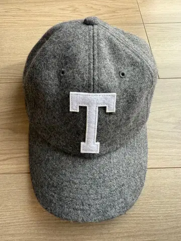 THE NORTH FACE 그레이 캡 T자 로고