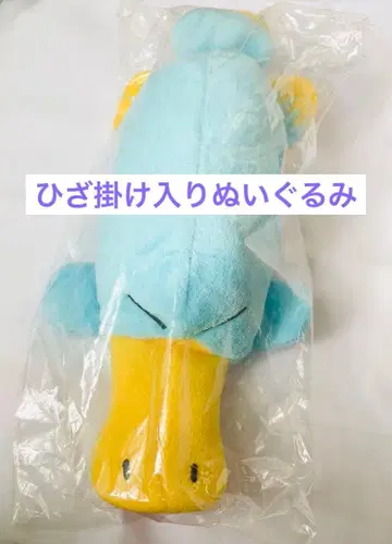 플랫피쉬 이코짱 무릎담요 봉제인형 담요