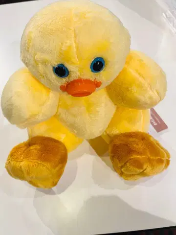 TeddyJOJO BIG 봉제 인형 mojojojo 병아리