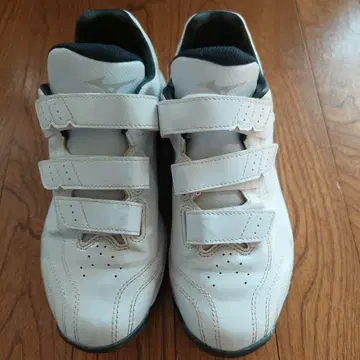 미즈노 트레이닝 슈즈 24.5cm