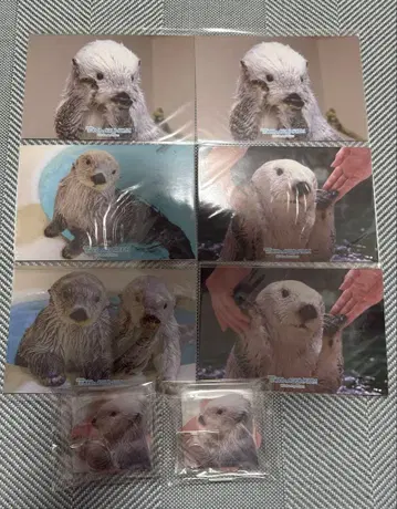 낱개 판매 가능 캡슐 복권 x 도바 수족관