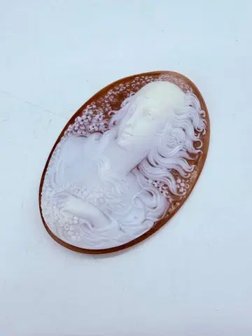 카메오 여성 초상 브라운 타원형