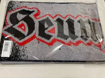 straykids 스키즈 승민 타월