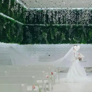 웨딩 베일 화이트 레이스