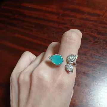 아쿠아프레즈 세르팡 3 모티브 12호